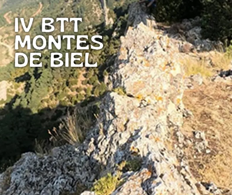 IV BBT MONTES DE BIEL