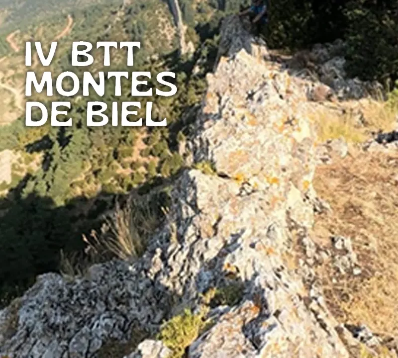 IV BBT MONTES DE BIEL